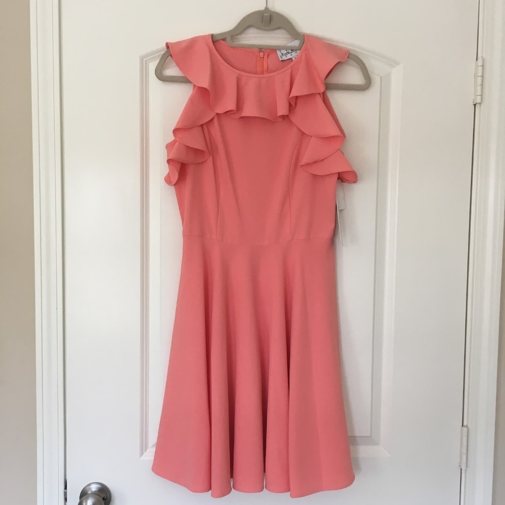 Nicole Miller Pink Ruffle Dress